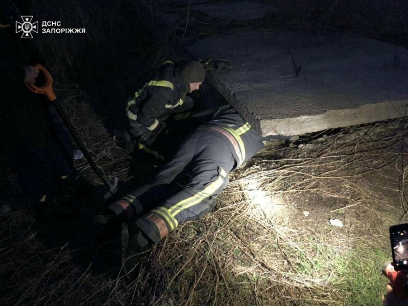 У Запоріжжі рятувальники допомогли безпритульному собаці, що застряг під бетонною плитою