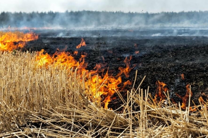 У Запорізькій області збитки від забруднення повітря внаслідок обстрілів складають 125 млн гривень