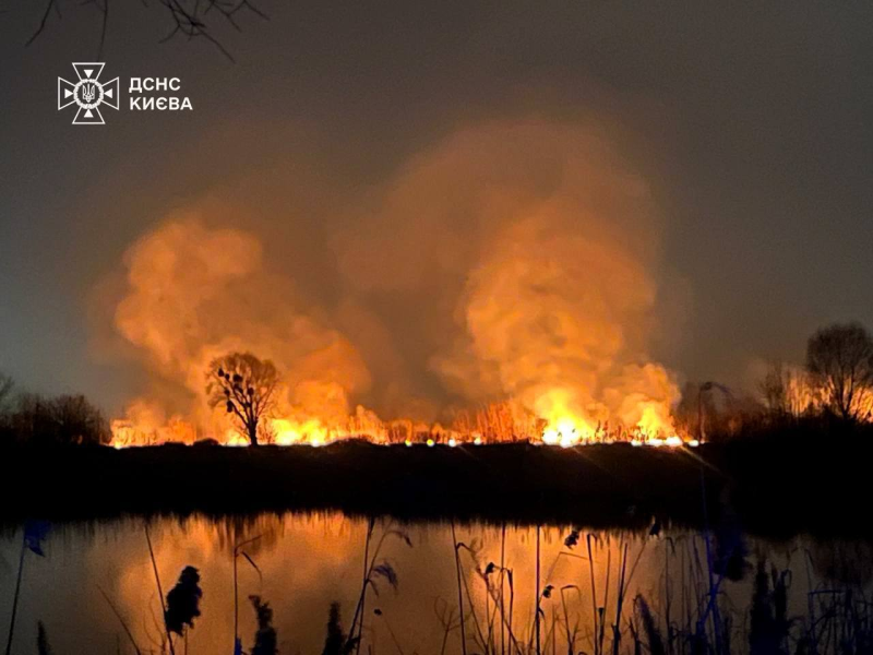 У Києві ліквідовано масштабну пожежу на Осокорках