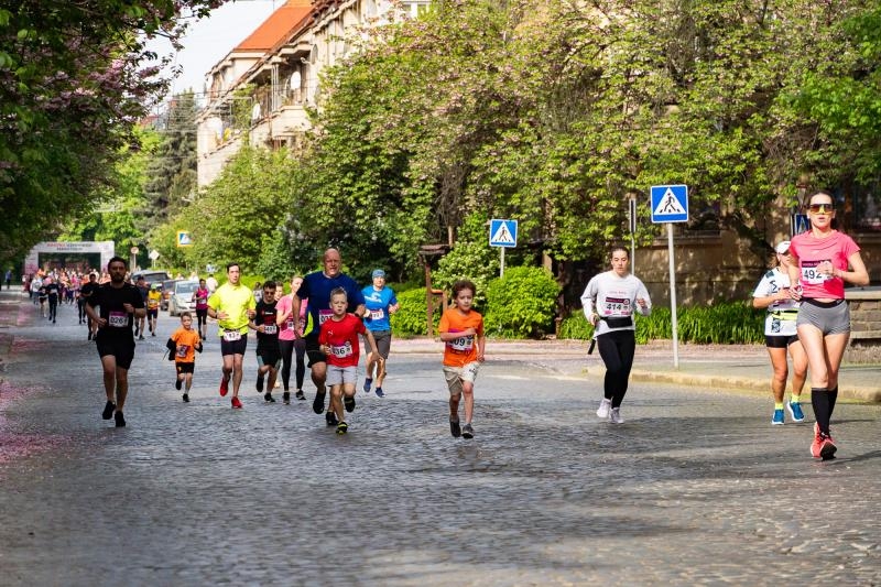 58 940 гривень на підтримку ЗСУ зібрали під час благодійного забігу Uzhhorod Sakura Run 2024