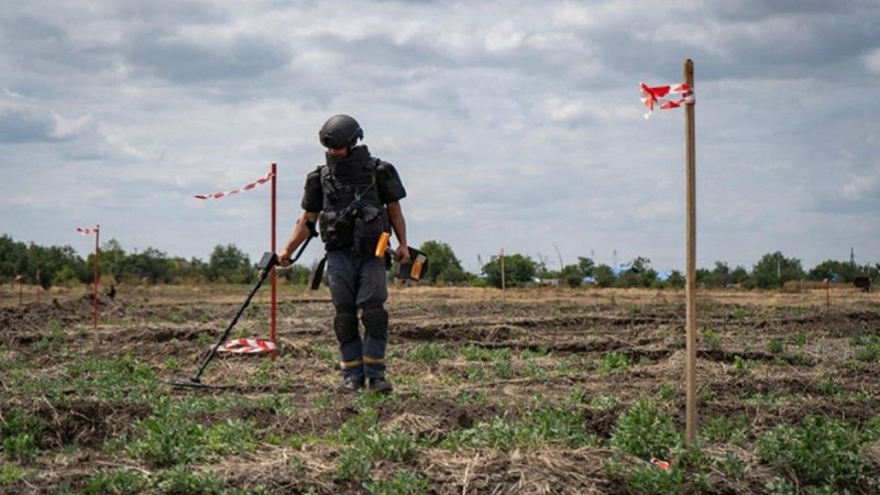 Держава покриває 80% витрат на розмінування. Як аграріям подати заявку