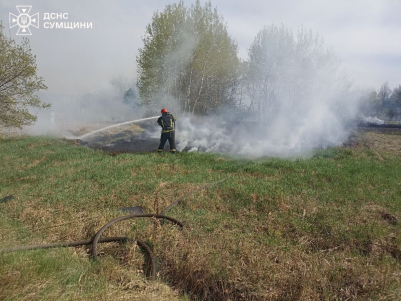 На Охтирщині через дитячі пустощі з вогнем зайнялася суха рослинність та ледь не загорівся будинок (ВІДЕО)