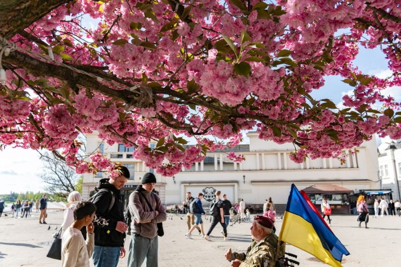 Неймовірна краса весняного Ужгорода – на вулицях старовинного міста пишно розквітли сакури