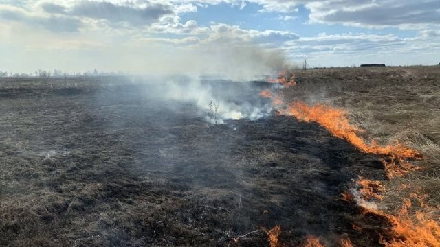 Завтра по всій Україні очікується надзвичайний рівень пожежної небезпеки, і на Миколаївщині також