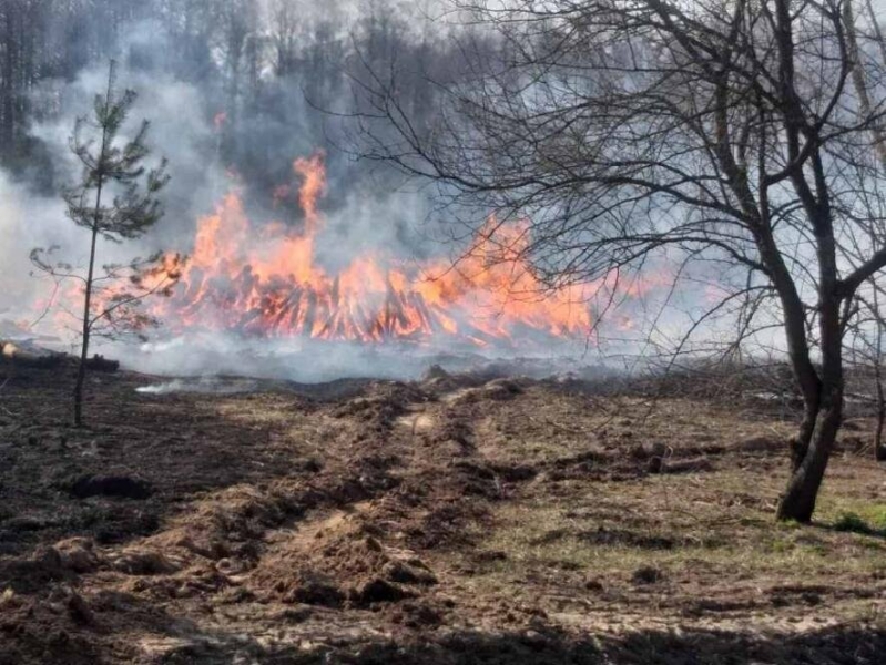 Окупанти завдали шкоди на 17 млрд гривень через нещодавні лісові пожежі поблизу Смолянинового на Луганщині 