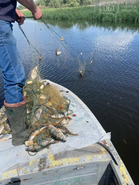 На Хортиці екоінспектори виявили браконьєрські сітки 