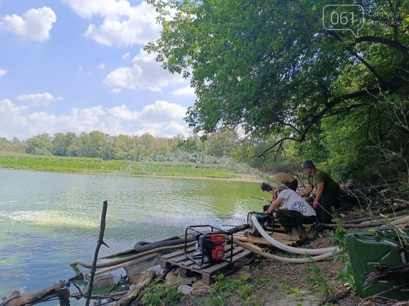 У заплаві на Хортиці виявили замор риби 