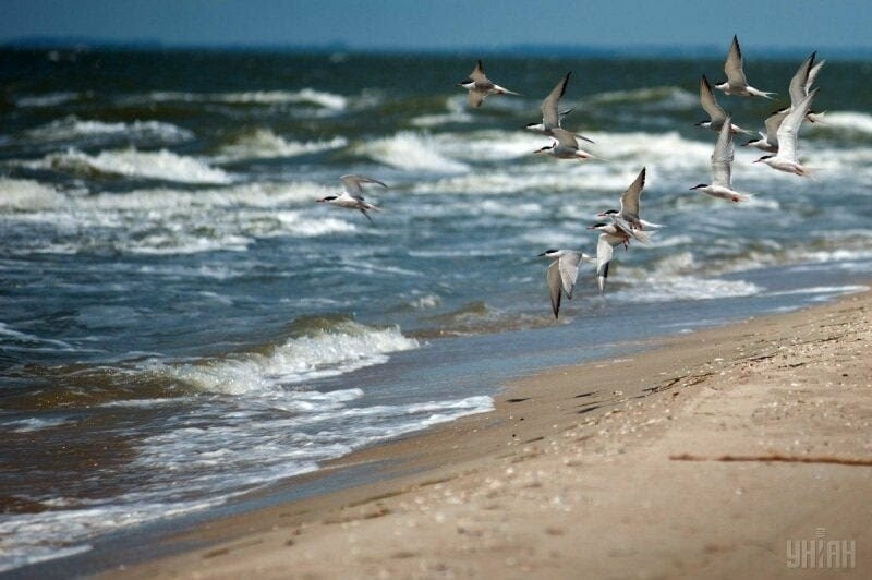 Окупанти намагаються легалізувати незаконний туристичний бізнес на захоплених територіях Запорізької області 