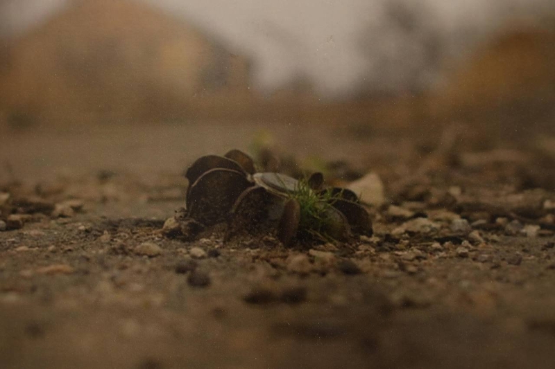 В Запоріжжі відкрилась фотовиставка безвісти зниклого військовослужбовця