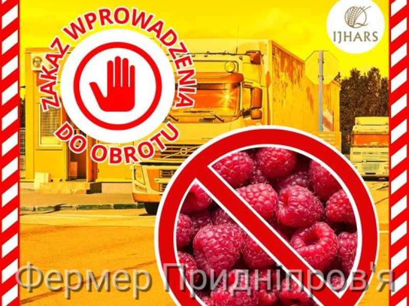 Понад 20 тонн української малини заборонили реалізовувати в Польщі