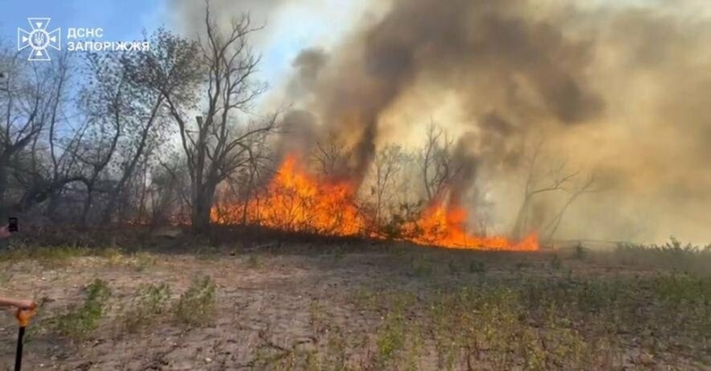 До кінця тижня у Запорізькій області очікується надзвичайна пожежна небезпека