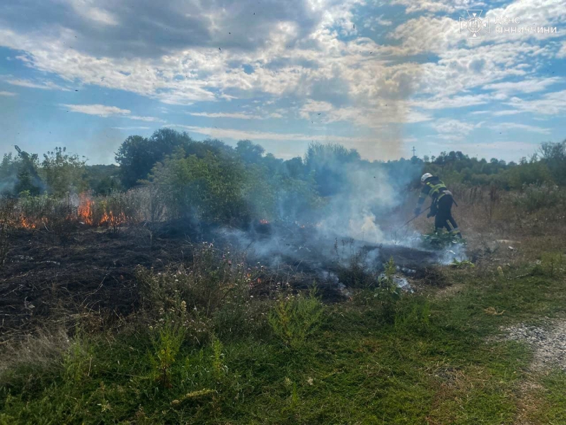 На Вінниччині ліквідували 19 пожеж на відкритих територіях