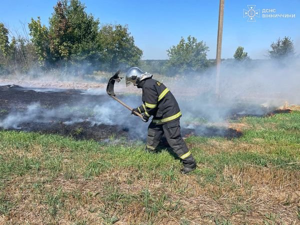 На Вінниччині ліквідували 19 пожеж на відкритих територіях