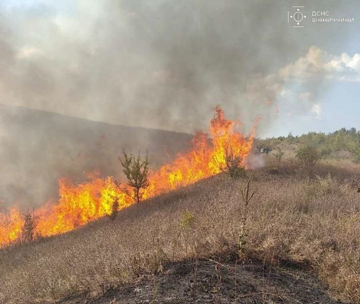 На Вінниччині ліквідували 19 пожеж на відкритих територіях