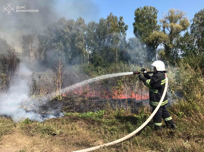 На Вінниччині ліквідували 19 пожеж на відкритих територіях