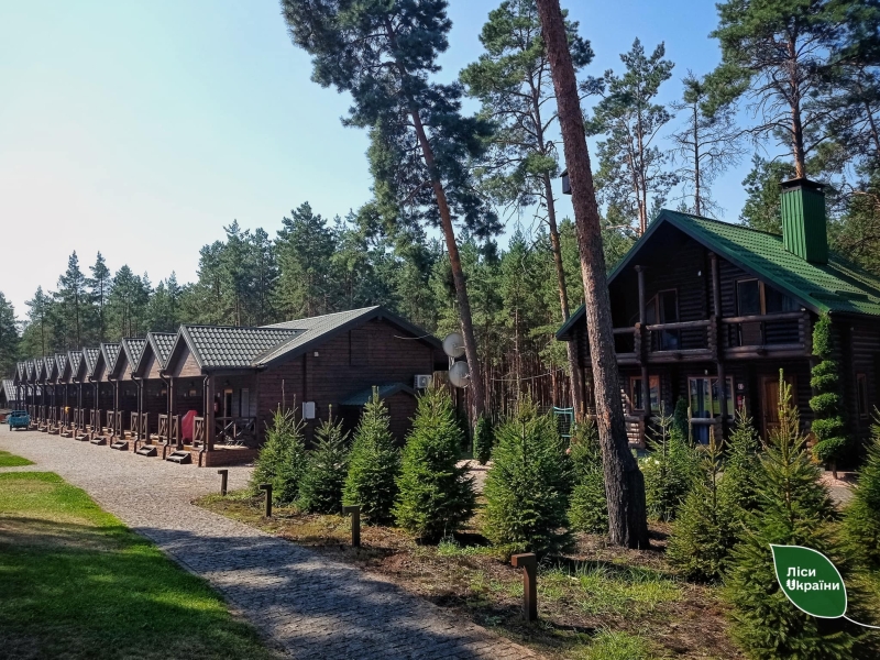 Неподалік Сарн у лісі знайшли незаконний елітний відпочинковий комплекс