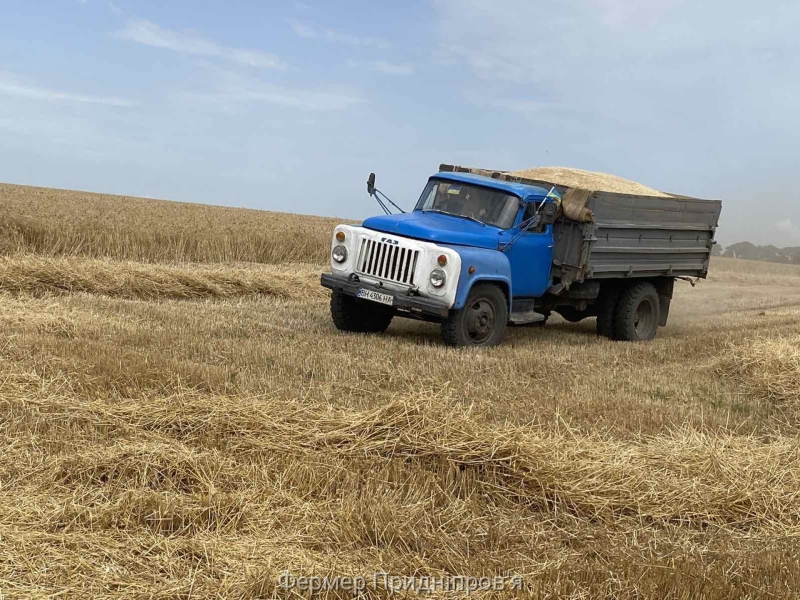 Показник урожайності ранніх зернових у Хмельницькій області -  найвищий серед інших регіонів України