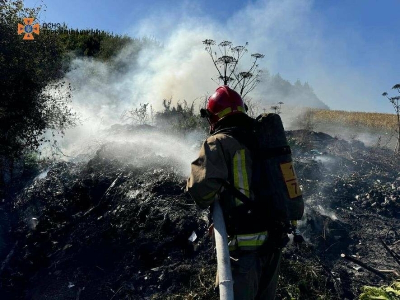 На Тернопільщині під загрозою знищення опинилися 320 гектарів лісу