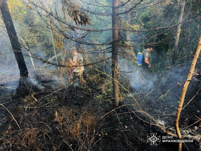 Масштабна пожежа в лісі на Прикарпатті: рятувальники з добровольцями і лісниками гасили вогонь (ФОТО)